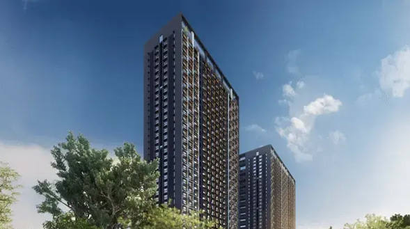 Property Developer