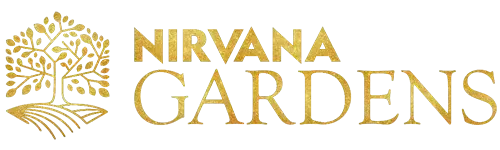 Nirvana Kalyan